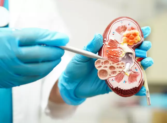 Glomerular Disease Symptoms Treatment