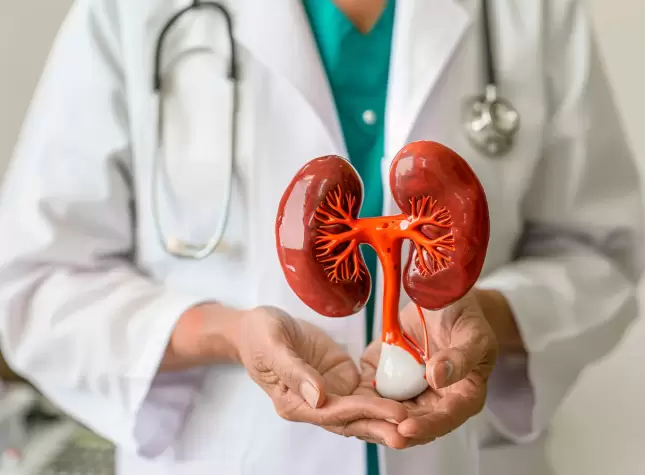 Common Kidney Disease Symptoms To Not Ignore