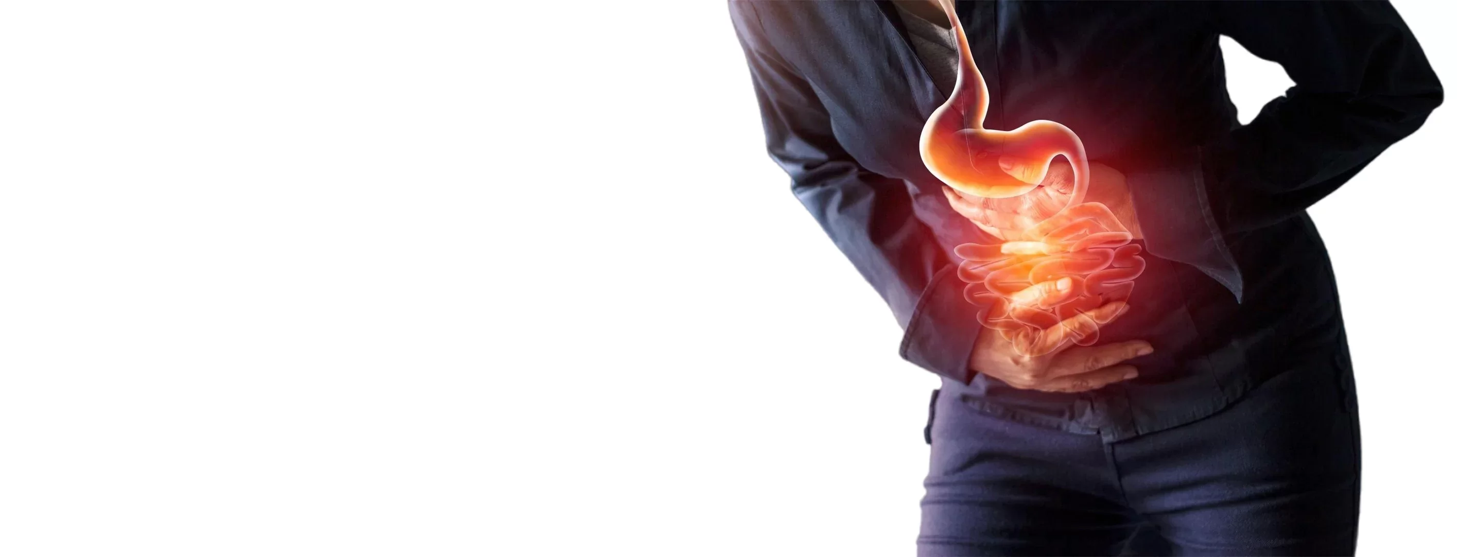 Gastroentrology